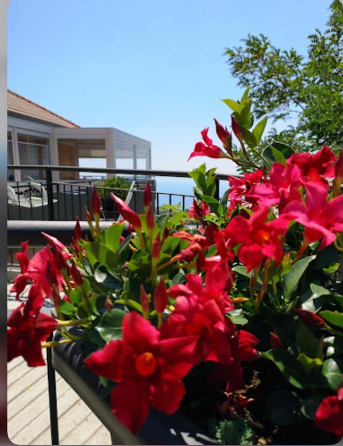 Santangelo Hotel Mattinata Luaran gambar